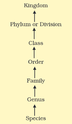 Figure 1.1 -- Taxonomic categories