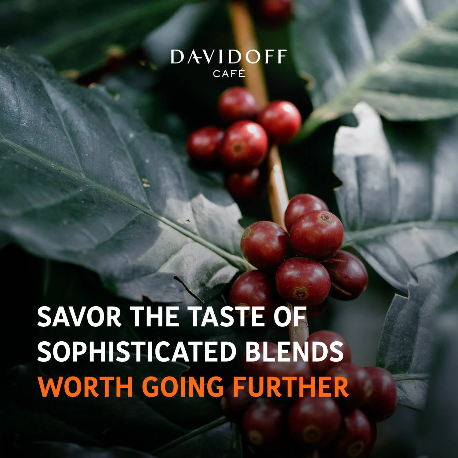 Davidoff Espresso 57: Intense Instant Coffee - Image 5