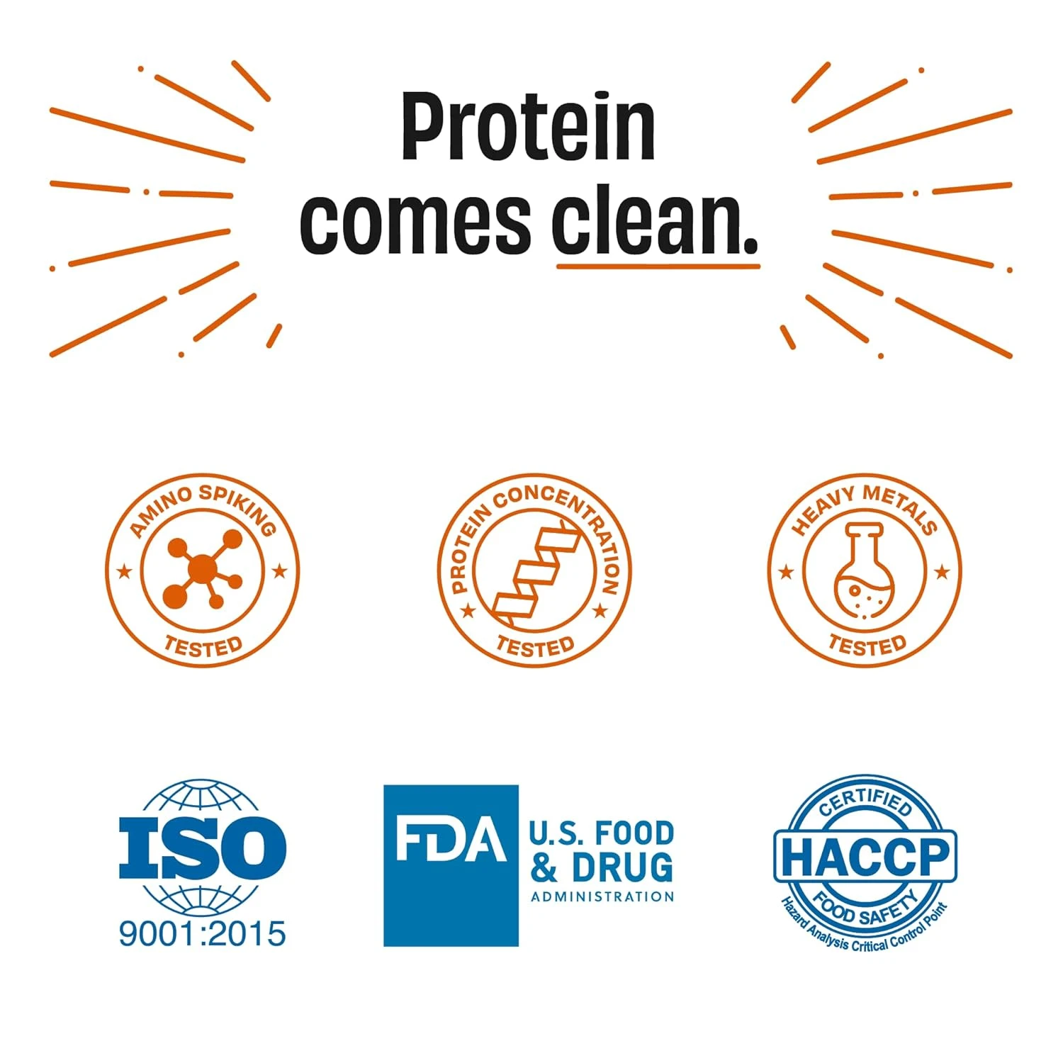 The Whole Truth Whey Protein Concentrate: Unflavoured, 1 kg - Image 4